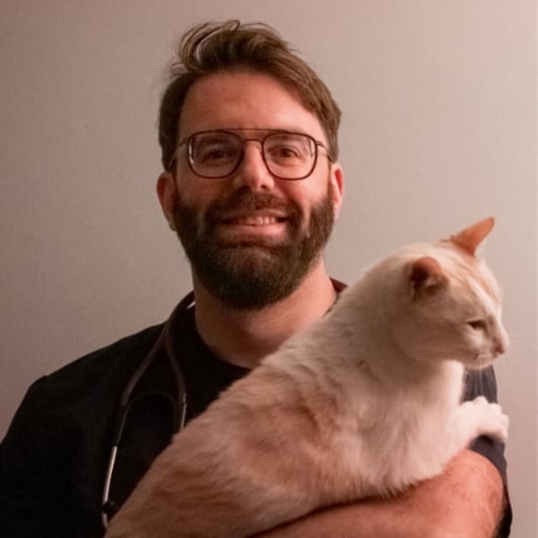 Dr. Jonathan Woodbury, Head of Emergency Medicine