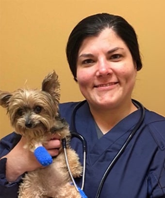 Jacqueline Nobles, Long Island Veterinary Emergency & Critical Care Specialist