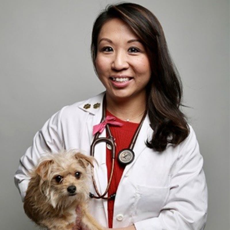 Dr. Pearl Fiona Chen