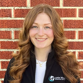 Olivia South Lebanon, Receptionist