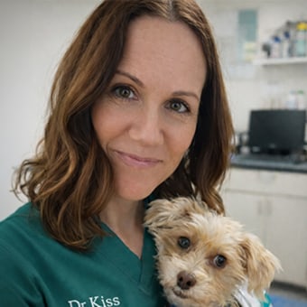 Dr. Lorie Kiss, Plains Internal Medicine Specialist