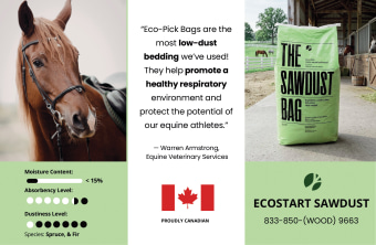 Ecostart Sawdust