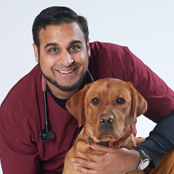 Dr. Sanjay Dick, Plains Veterinarian