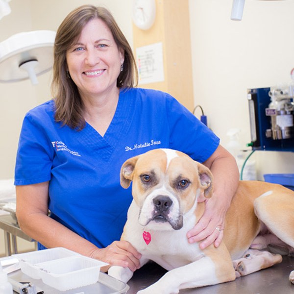 Dr. Natalie Isaza, Saint John Veterinarian