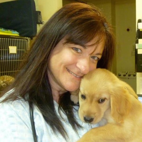 Dr. Tobie Faith, Saint John Veterinarian