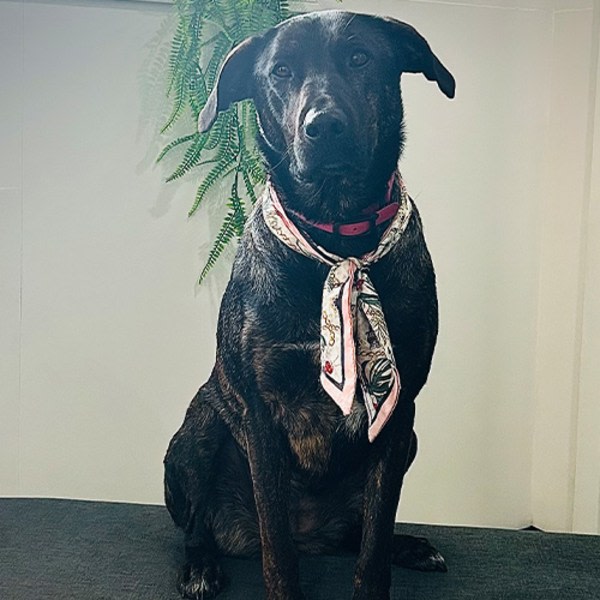 Betty, Saint John Official Greeter