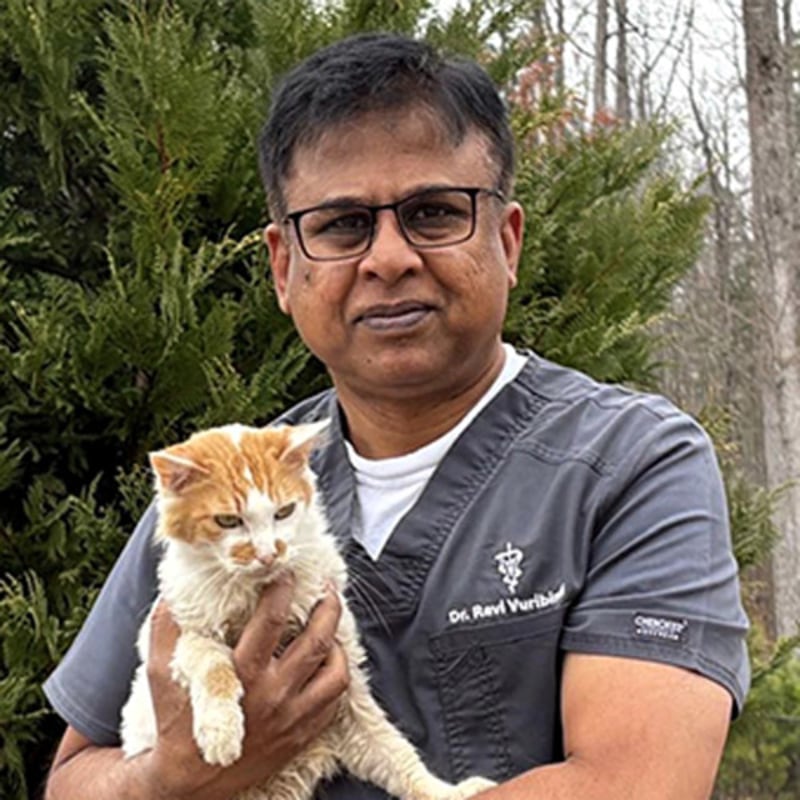 Dr. Ravi Vuribindi