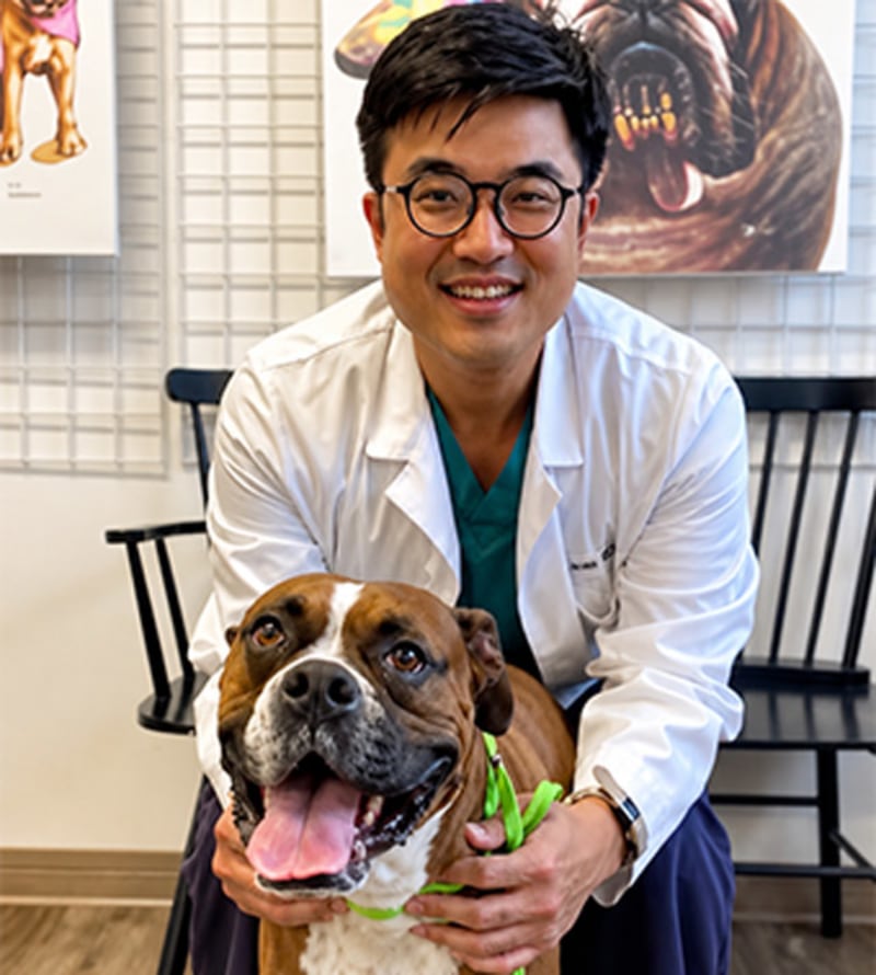 Dr. Alvin Hong