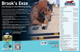 Brooks Performance Horse Feeds