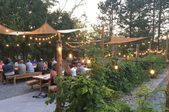 The Second Wedge Brewing Co #1