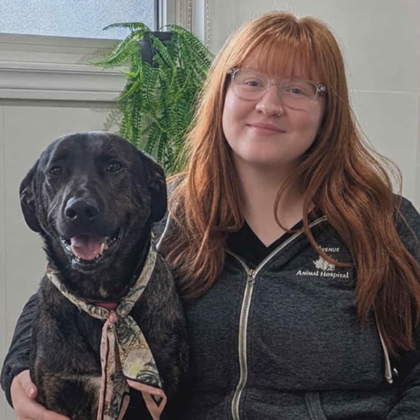 Sarah, Saint John Receptionist & Veterinary Assistant