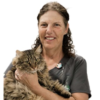 Dr. Teresa Martinolli, Ocala Veterinarian