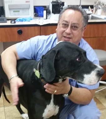 Lorenzo, Miller Clark Animal Hospital Veterinary Assistant