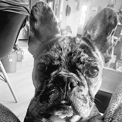 Maxx