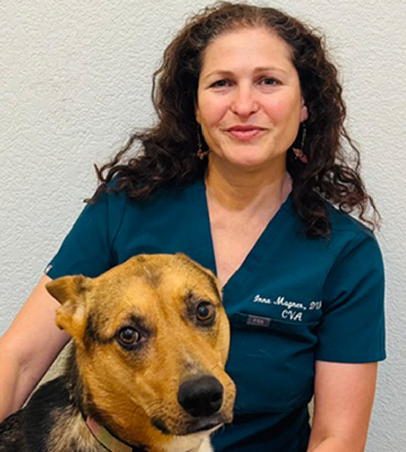 Dr. Inna Magner
