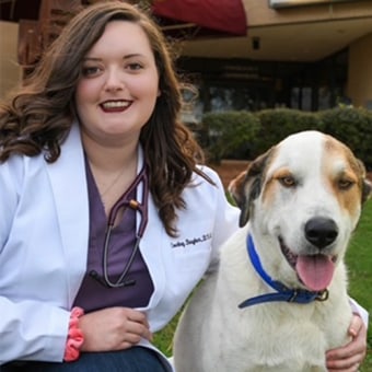 Dr. Courtney Baugher-Windham, Rainbow City Veterinarian