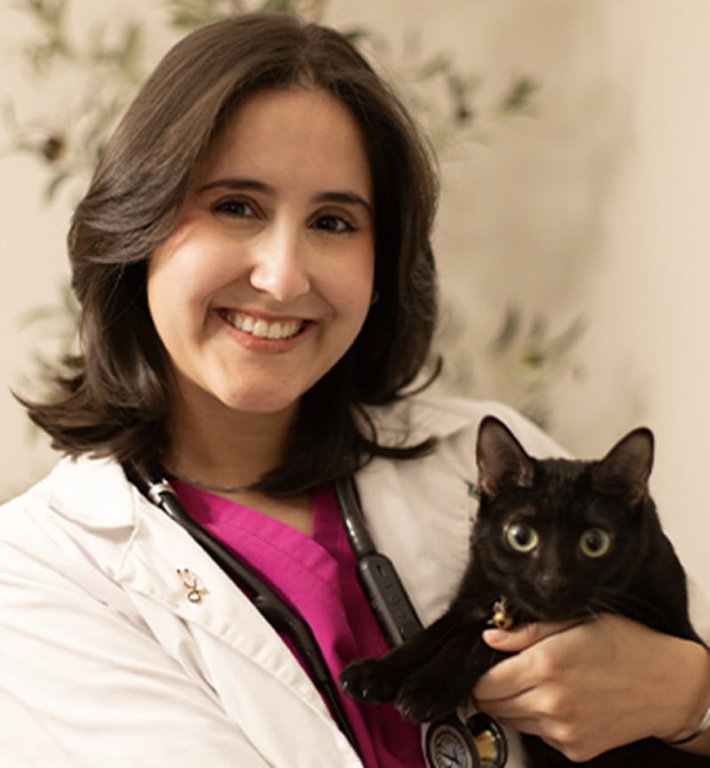 Dr. Elaine Arias
