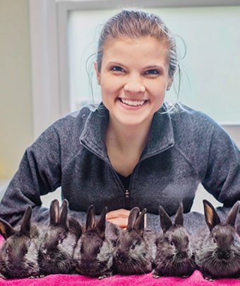 Dr. Katrina Bocchine, South Plainfield Veterinarian