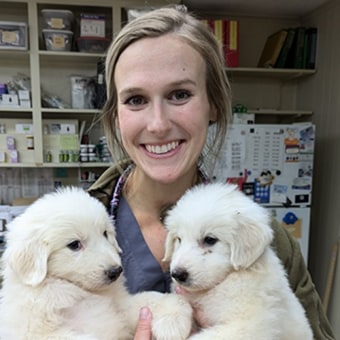 Dr. Tanzy Easom, Perry Veterinarian