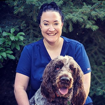 Dr. Carrie George, Burlington and Bellingham Veterinarian