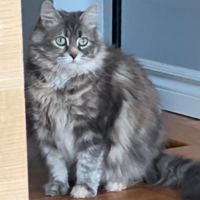 Minnie