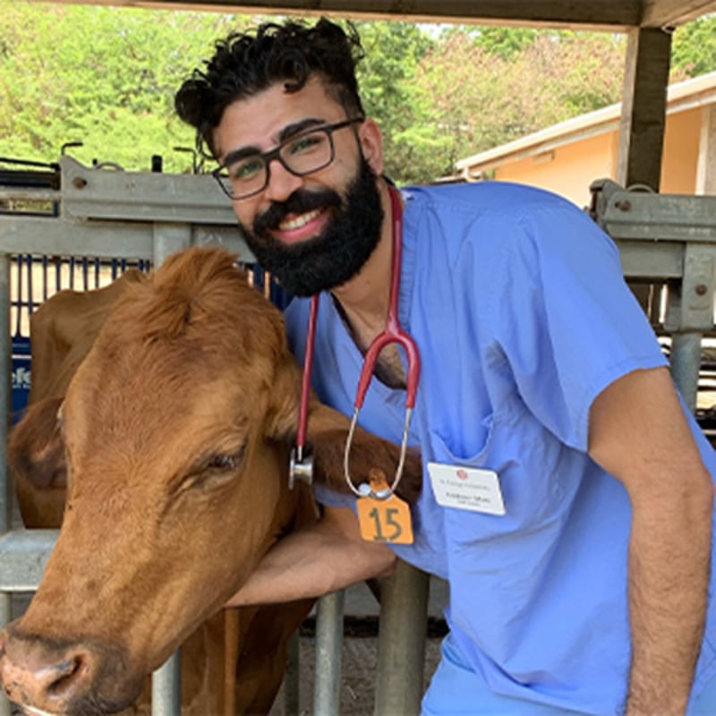 Dr. Azadveer Momi