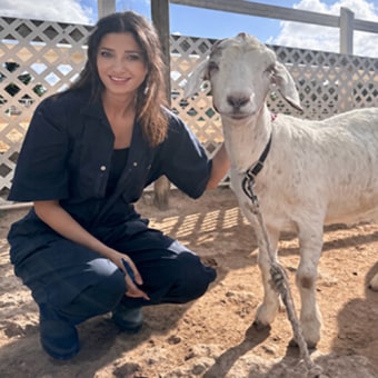 Rama, Burlington Triage Assistant