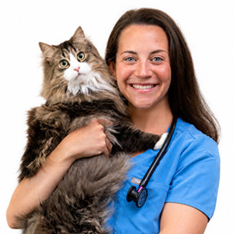 Dr. Emily Katz, Voorhees Veterinary Center Veterinarian