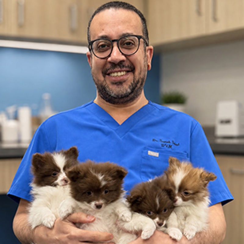 Dr. Sameh Saad