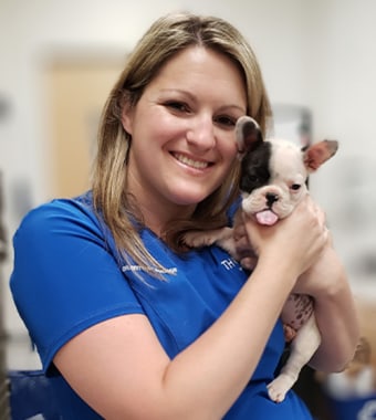 Meet Brittany Donahue | Carolina Veterinary Specialists Emergency Veterinarian
