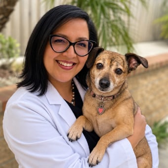 Dr. Ana Ramirez, Rancho Cucamonga Veterinarian