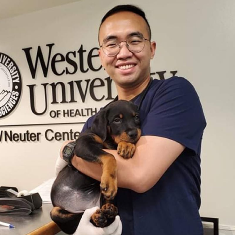 Dr. David Liu