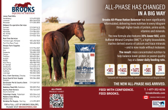 Brooks Performance Horse Feeds #1