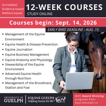 Equine Guelph