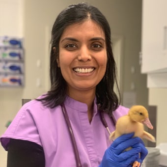 Dr. Ashika Seshadri, Santa Cruz Critical Care Specialist