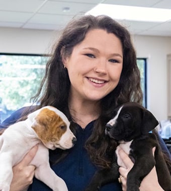 Anna, Hattiesburg Veterinary Assistant