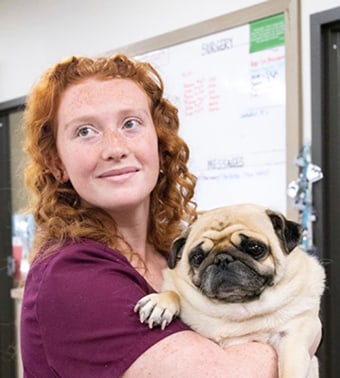 April, Hattiesburg Veterinary Assistant