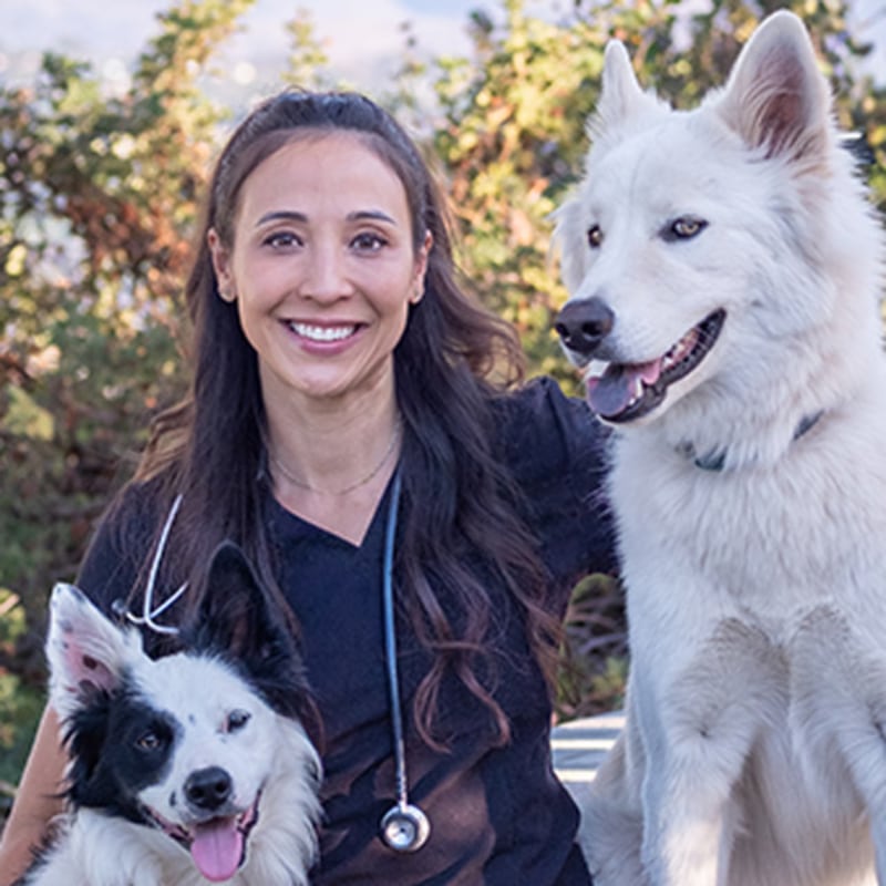 Dr. Allison Luecking