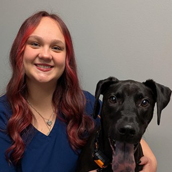 Daisy, Fayetteville Veterinary Assistant