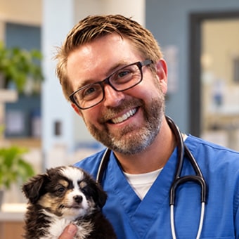 Dr. Brian Massey, Oceanside Veterinarian