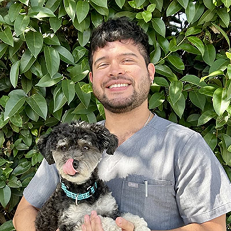 Dr. Sebastian Vasquez